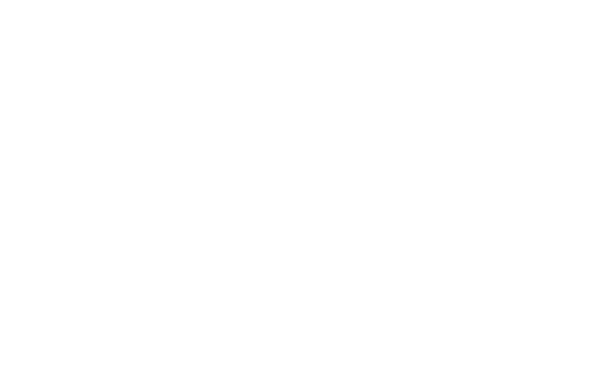 SWBIZUSA